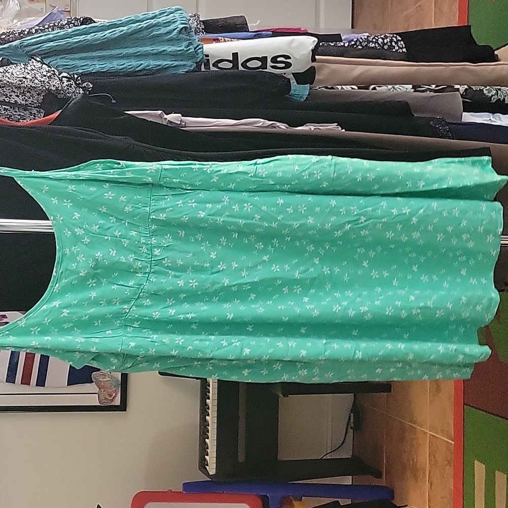 NWT Wild Fable Dress